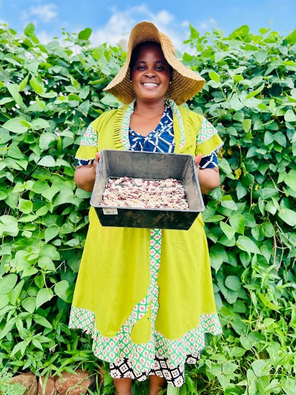 Fresh produce from the Mandlakazi food gardens