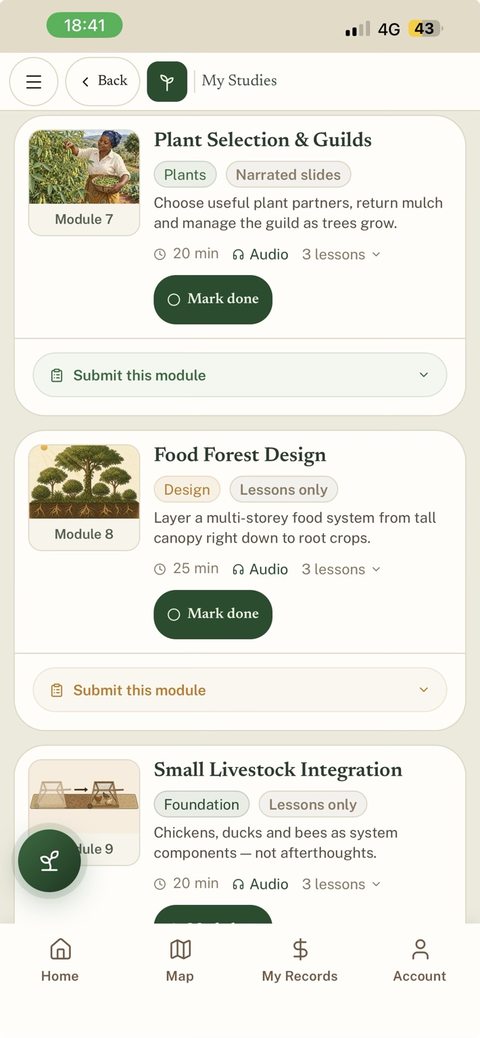 My Studies app screen showing illustrated learning modules