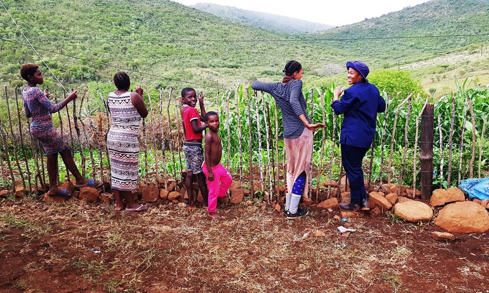 The field team speaking with a household beside a productive maize garden