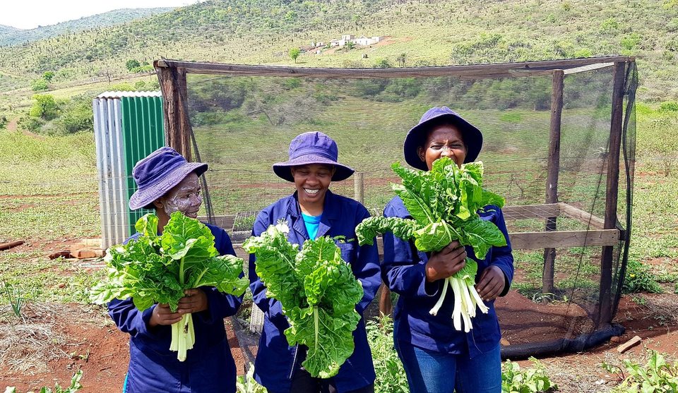 Three members of the Ubhejane delivery team smiling with large bunches of leafy vegetables harvested from the garden