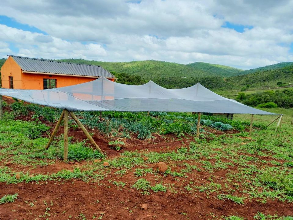Protective shadecloth installed above productive vegetable beds at Ubhejane Crèche