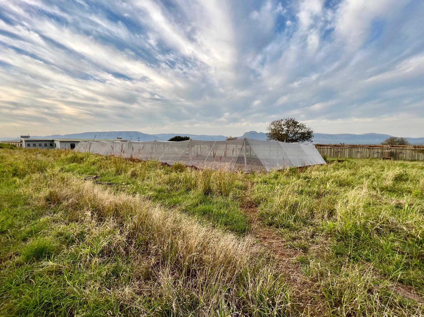 286450068_172051275234534_8649894859761039239_n