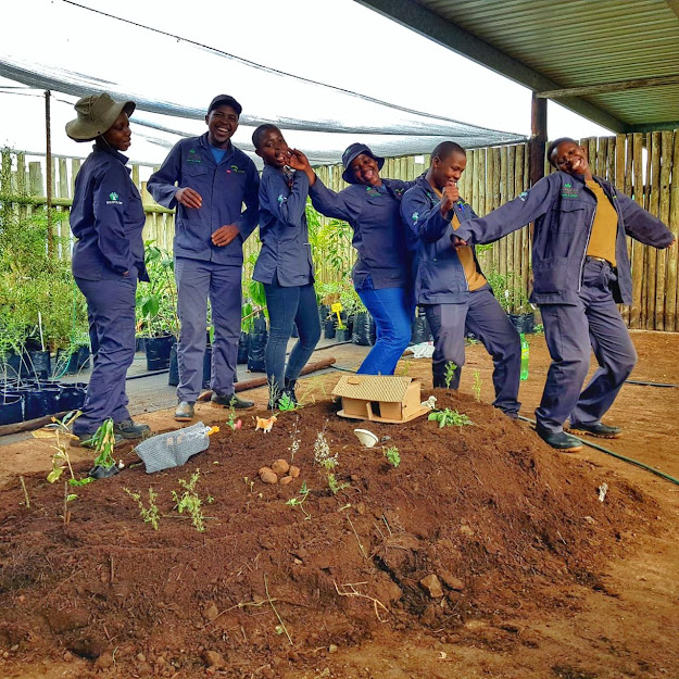 IMG-20220317-WA0026-01