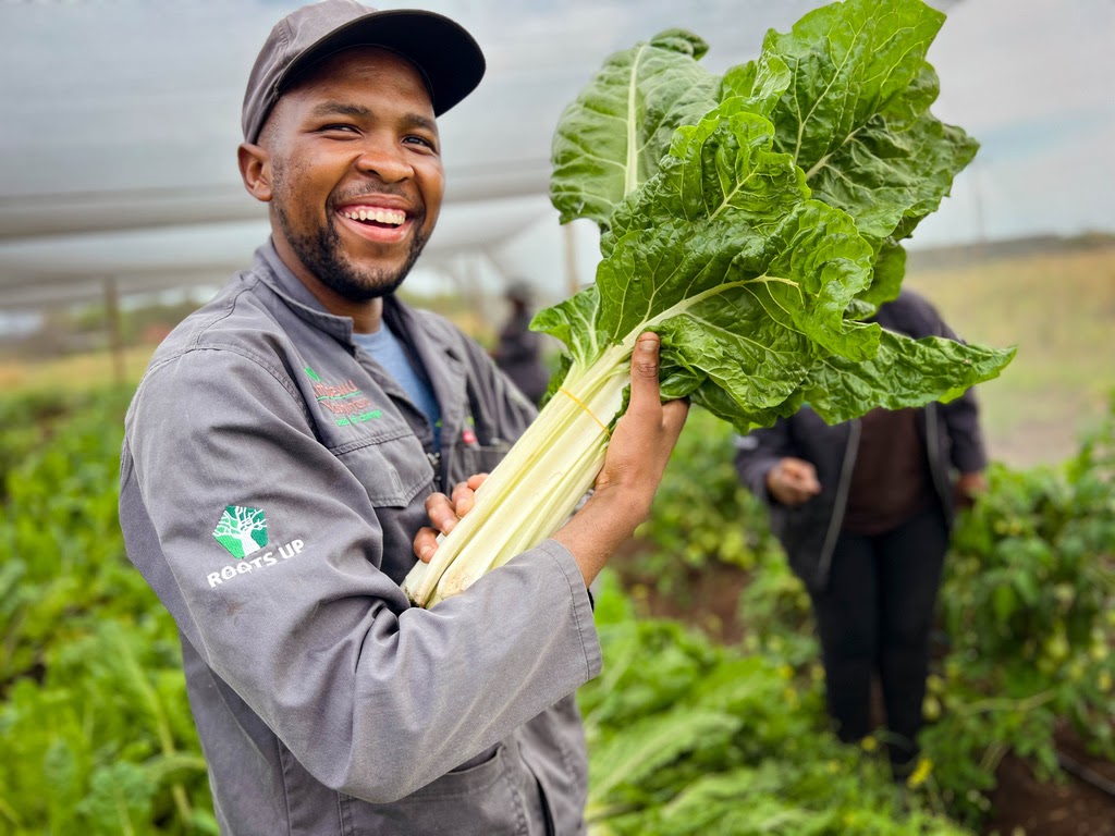 1518F589-F5F6-4A34-A981-BD0B015BF2F0_1_105_c