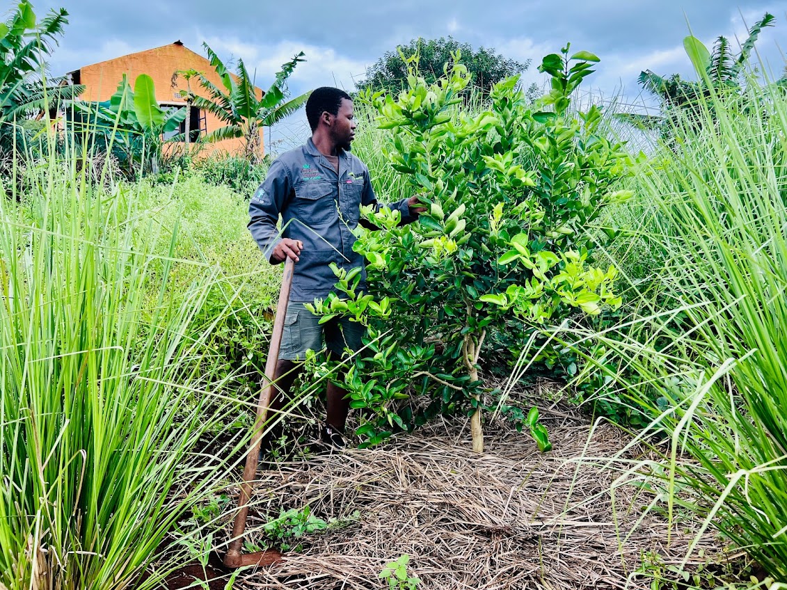 2DD45A30-3886-46BE-A356-A60D54DDA903_1_201_a