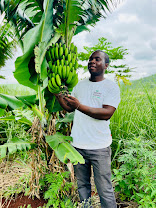 E10A84E6-5362-4473-83BB-E4FE0624F5B5_1_201_a